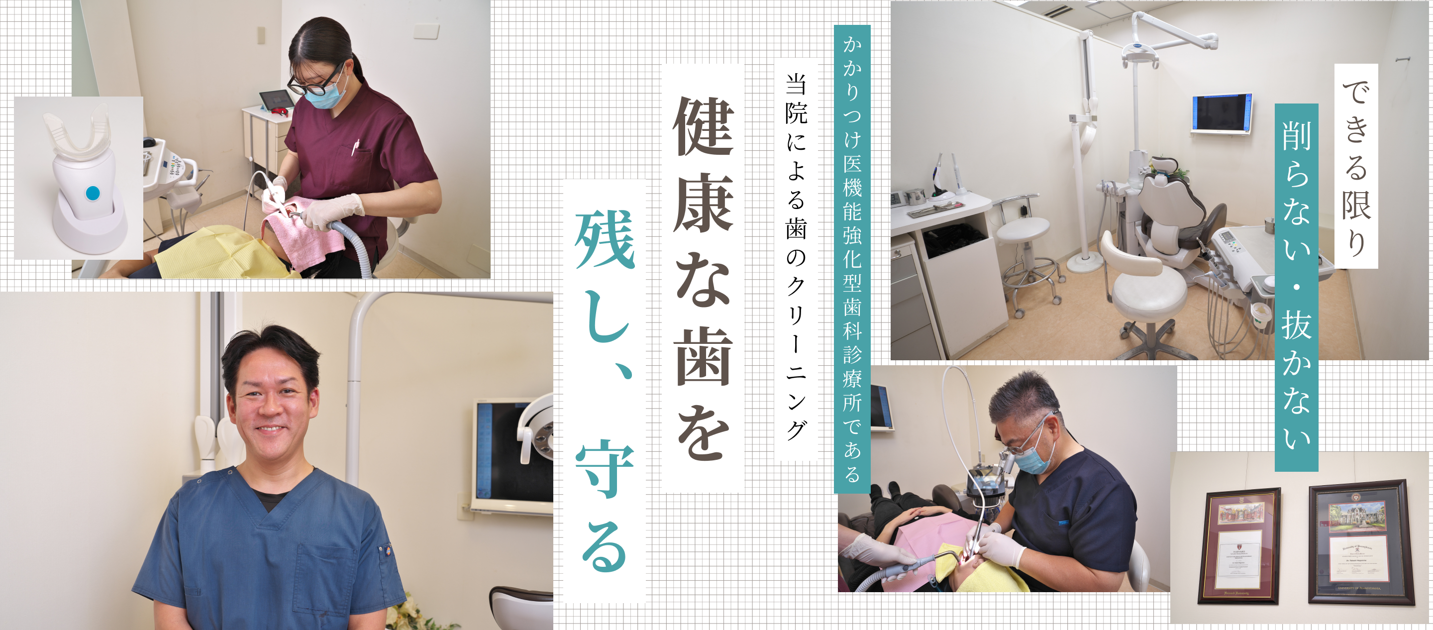 ファーストビュー